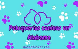 Peluquería canina y de mascotas a domicilio en Alabama