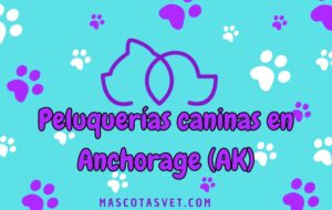 Peluquería canina y de mascotas a domicilio en Anchorage