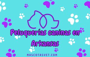 Peluquería canina y de mascotas a domicilio en Arkansas