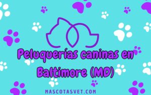 Peluquería canina y de mascotas a domicilio en Baltimore