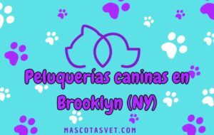 Peluquería canina y de mascotas a domicilio en Brooklyn