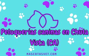 Peluquería canina y de mascotas a domicilio en Chula Vista