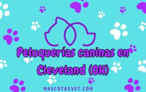 Peluquería canina y de mascotas a domicilio en Cleveland