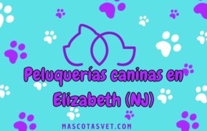 Peluquería canina y de mascotas a domicilio en Elizabeth