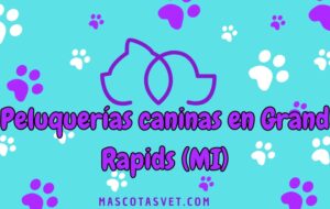 Peluquería canina y de mascotas a domicilio en Grand Rapids