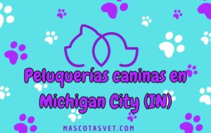 Peluquería canina y de mascotas a domicilio en Michigan City