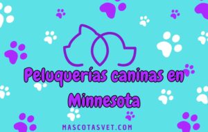 Peluquería canina y de mascotas a domicilio en Minnesota