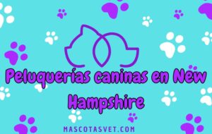 Peluquería canina y de mascotas a domicilio en New Hampshire