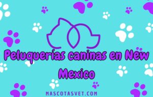 Peluquería canina y de mascotas a domicilio en New Mexico