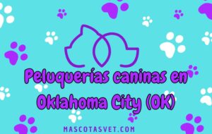 Peluquería canina y de mascotas a domicilio en Oklahoma City