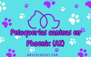 Peluquería canina y de mascotas a domicilio en Phoenix