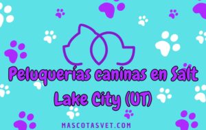 Peluquería canina y de mascotas a domicilio en Salt Lake City