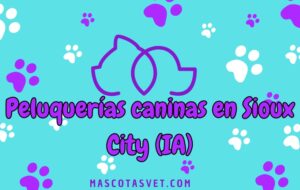 Peluquería canina y de mascotas a domicilio en Sioux City