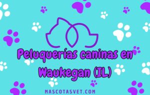 Peluquería canina y de mascotas a domicilio en Waukegan