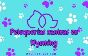 Peluquería canina y de mascotas a domicilio en Wyoming