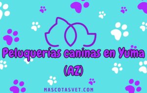 Peluquería canina y de mascotas a domicilio en Yuma