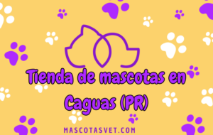 Caguas