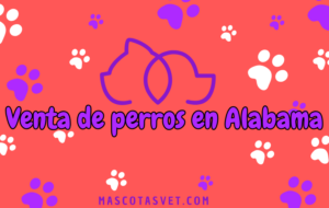¿Dónde comprar un perro en Alabama de forma segura?