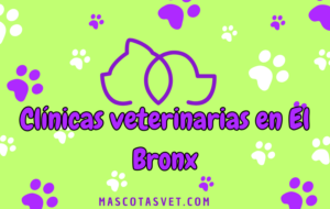 Clínicas veterinarias en El Bronx